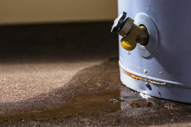 Best Residential water damage restoration  in Pleasant Hills, PA