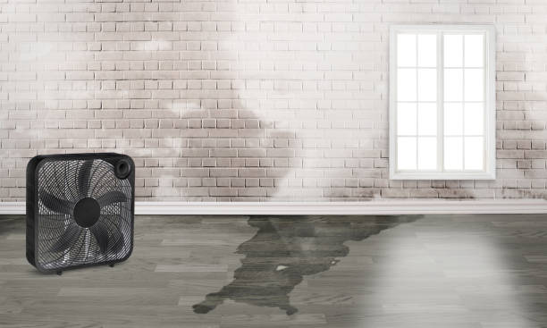 Best Emergency water damage restoration  in Pleasant Hills, PA