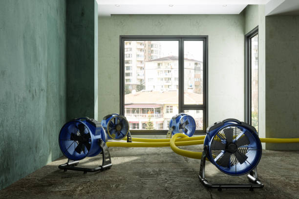 Best Water damage contractors near me  in Pleasant Hills, PA